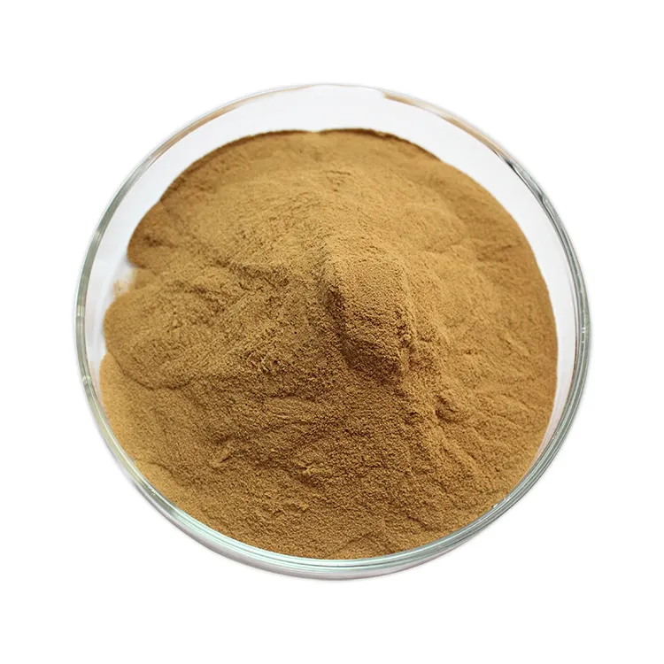 Ekstrak organik shiitake 10%-50% AHCC polysaccharide Shiitake bubuk ekstrak Jamur