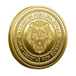 Moneta Commemorativa 3D in Ferro Pressofuso Personalizzata PANBO, Collezione Creativa con Motto Ispirazionale, Ornamento in Oro e Argento - Product Image 2