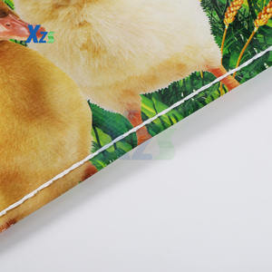 Sacos Tejidos De BOPP 防潮水果和蔬菜包装袋（批发） - Product Image 5