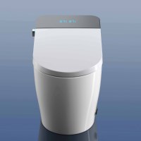 Intelligent porcelaine wc monté au sol eau Japon cuvette de toilette salle de bain automatique céramique noir toilette intelligente