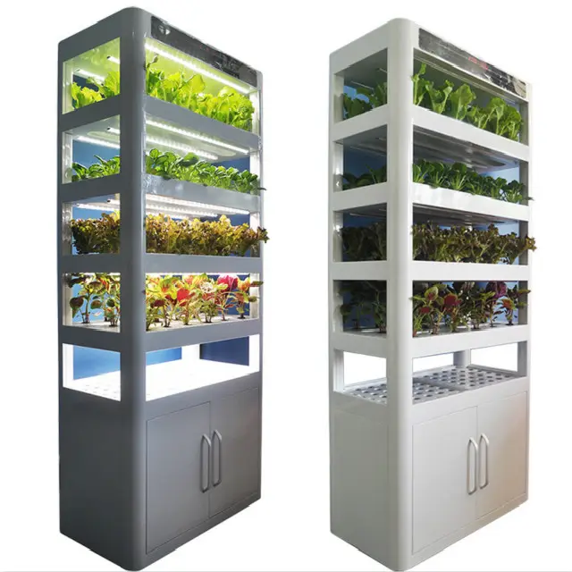 1つの屋内自動化ホームNFT産業用垂直成長水耕システム成長ボックス