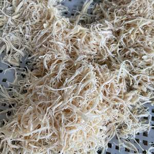 Máquina Desmenuzadora de Carne para Tiras de Carne Seca, Desmenuzadora de Carne de Res, Máquina Desmenuzadora de Tiras de Carne de Cerdo, Máquina Desmenuzadora de Tiras de Calamar - Product Image 6