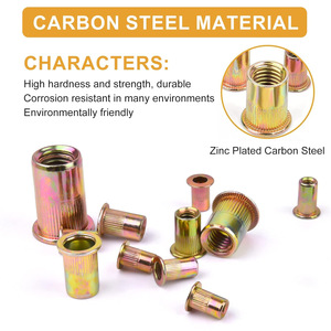 Rivet Nuts 885 Pcs Boxed Set Carbon Steel Flat Head Zinc Plated DIN Standard Rivet With Washer - Product Image 2