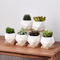Pot de plante succulente géométrique blanc pour jardin d'intérieur, pots en céramique pour plantes, vente en gros