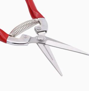 High Quality Stainless Seel Blade <b>Hand</b> <b>Tools</b> Cutting Garden Fruit Pruning Shears Garden Scissors with Safety Lock - Product Image 4