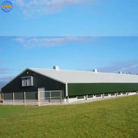 Bâtiment d'élevage de volailles en acier préfabriqué avec structure en acier galvanisé