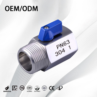 Mini-vanne à boisseau sphérique en acier inoxydable 304/316, filetage NPT BSPT interne/externe pour gaz et eau
