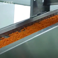 Premium kwaliteit voor gezondheidsbewuste/zoete tropische exotische fruitgroothandel, directe export, fabrieksprijs, verse bevroren duindoorn