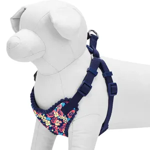 Verstelbare Harnassen Voor Honden, Custom Naam Huisdier Zacht En Comfy Elegant Bloemen Geen Pull Mesh Puppy Dog Harness Vest