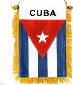 Bandiera con frange decorativa personalizzata della repubblica dominicana con bandiera appesa per finestra gagliardetto bandiera della squadra sportiva bandiera stendant bandiera