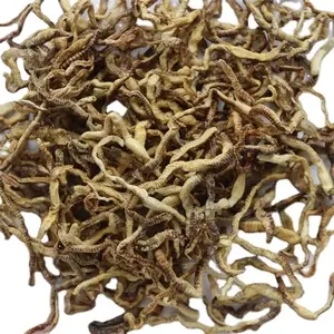 Hot Sale Finely Processed Freeze Dried Fish Food Earthworms