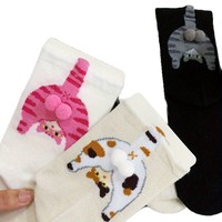 En stock, taille unique, chaussettes d'hiver pour femme, motif œuf de chat, nouvelle collection 2025, mignonnes, drôles, dessin animé, couple, polyester