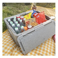 Glacière portable en mousse EPP légère, pliable, sans glace, pour une utilisation en extérieur, isolée thermiquement pour le stockage des aliments