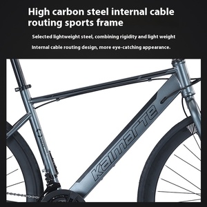 Usine en gros adulte vélo <span class=keywords><strong>de</strong></span> route hommes femmes lumière loisirs course vitesse Variable frein à disque fourche en acier droit vtt - Product Image 4