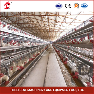 Utilisation optimisée de l'espace un type de modules de système de cage de poulet de couche automatique pour les poules 96-200 soutenant la gestion efficace de ferme - Product Image 4