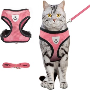 Harnais pour chiens et chiots, collier, gilet réglable pour chat et chien, laisse de promenade, harnais en maille de polyester doux et respirant pour animaux de compagnie de petite et moyenne taille - Product Image 1