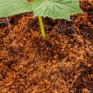 วัสดุเพาะปลูกอัจฉริยะ สมาร์ทโซล กรีนพาวเวอร์ มอส โกโก้ นีม ใยมะพร้าว ใยมะพร้าวคั่ว  โคโคพีท - Product Image 4