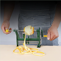 Outil d'épluchage d'orange en acier inoxydable pour la maison