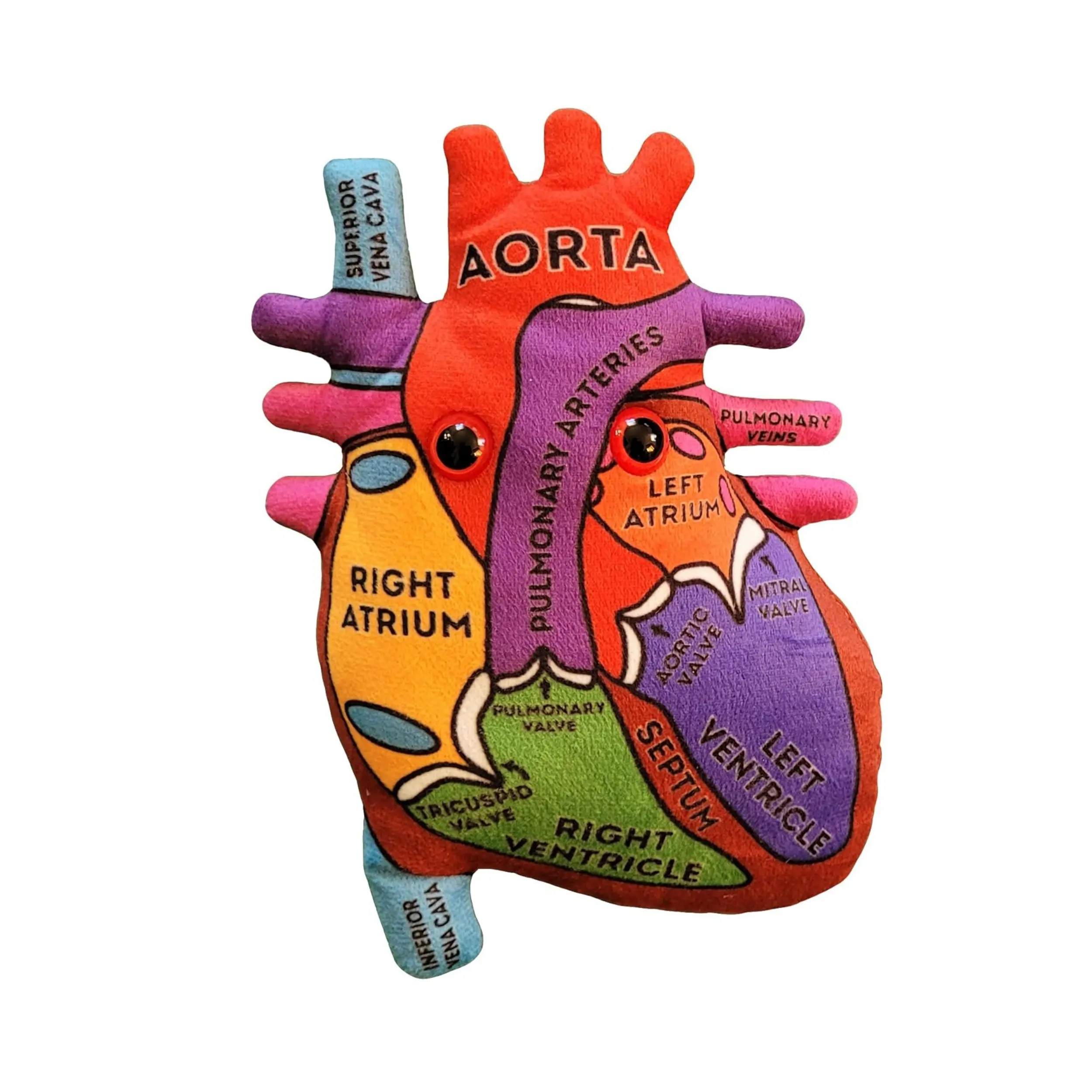 Kalp Organ modeli peluş anatomik kalp Organ modeli ile kalp hakkında bilgi edinin öğrenciler için eğitim biyoloji hediye hastaları