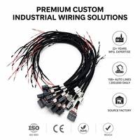 Faisceau de câblage industriel robuste pour panneau de commande avec connecteurs multipolaires pour fabricant d'équipements d'automatisation