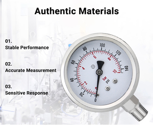 Manômetro de Pressão <span class=keywords><strong>Psi</strong></span> Personalizável com Tubo Bourdon, Manômetro de Pressão em Aço Inoxidável Resistente à Corrosão - Product Image 6