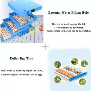 Incubadora Inteligente Totalmente Automática Blue Home para 320 Huevos, Apta para Incubación de Pollos, Patos, Gansos y Palomas - Product Image 5