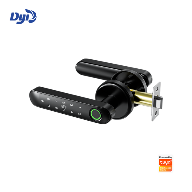 Biometric Fingerprint Smart Lock with for & Tuya App-Cloud Zinc Alloy Digital Door Lock with Key Card for American House