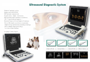 Vétérinaire 12 pouces plein affichage numérique HD Portable BW échographe système de Diagnostic par ultrasons machine à ultrasons - Product Image 3