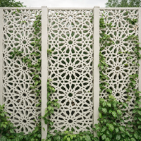 Panneaux de clôture décoratifs pour jardin en WPC résistant aux intempéries, pour l'aménagement paysager extérieur