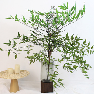 <span class=keywords><strong>Flor</strong></span> Eterna de <span class=keywords><strong>Nandina</strong></span>, Planta Ma Zui Mu Doméstica, <span class=keywords><strong>Flor</strong></span> Real para Decoración de Sala de Estar o Cafetería, Ramas Secas Creativas - Product Image 4