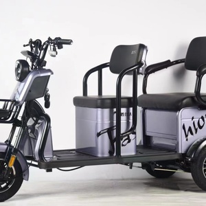 Tricycle électrique 600W/800W/1000W, tricycle électrique pas cher pour adultes - Product Image 3