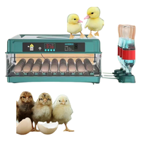 Bon équipement électrique multifonction automatique capacité des œufs incubateur facile à utiliser couveuse en plastique pour éclosoir de poulet