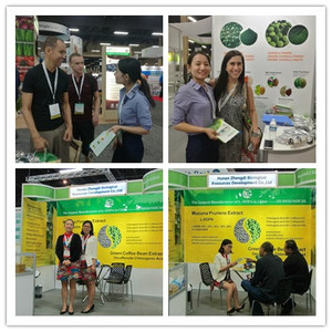 สารสกัดจากเมล็ด <span class=keywords><strong>Fenugreek</strong></span> 50% ผง <span class=keywords><strong>Fenugreek</strong></span> - Product Image 5