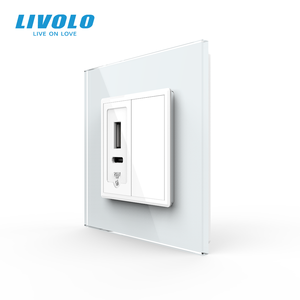Enchufe USB <span class=keywords><strong>LIVOLO</strong></span> UK de 20W 1A1C con Carga Rápida, Modular, Apto para Caja Trasera Tipo 86, para HK, Malasia, Singapur, Catar, Hoteles y Villas - Product Image 1