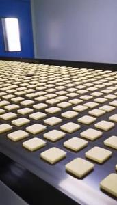Ligne de production de biscuits entièrement automatique simple et efficace Machine à biscuits au doigt - Product Image 6