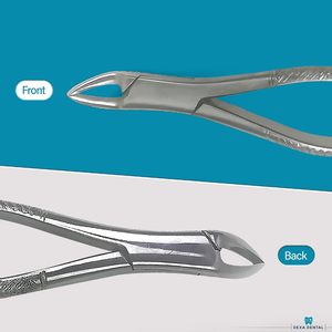 Forceps d'extraction dentaire Dexa Heavy Duty 150, forceps apical à poignée moletée, instrument chirurgical manuel - Product Image 4