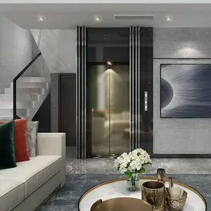hot selling luxury design cheap price Villa house passenger elevator lifts