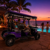 Voiturette de golf électrique 4 places pour complexe tropical, violet métallisé avec éclairage LED sous le châssis, rideaux transparents, tout-terrain pour hôtel de plage, OEM