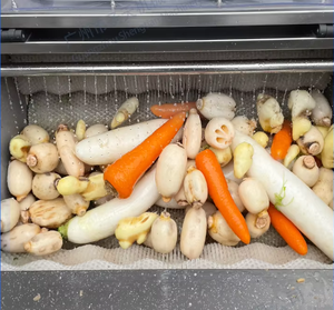 Équipement de lavage à haute efficacité pour fruits, légumes, citrouilles, loofahs, concombres, aubergines, et machine industrielle de pelage de pommes et de pommes de terre - Product Image 5