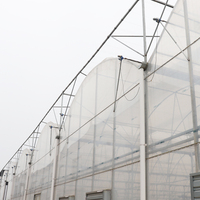 Kit de serre agricole commerciale GT Tomato, cadre en plastique, film plastique, serre multi-spans à vendre