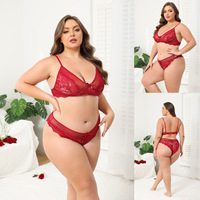 Lingerie Wanita Ukuran Besar Gaya Prancis Merah Transparan Berenda Bulu Mata, Model Cut Out Mudah Dilepas, Celana Dalam Crotch Terbuka, Lingerie Malam Hari