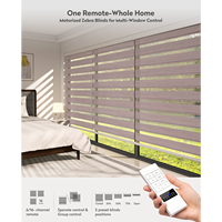 Persianas Zebra Motorizadas con Filtro de Luz ZSTARR, Soluciones Inteligentes y Ajustables para Ventanas de Salas de Estar y Comedores