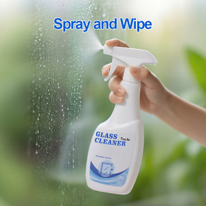 Mẫu Miễn Phí Giao Hàng Nhanh Chứng Khoán 500Ml 750Ml Biểu Tượng Tùy Chỉnh Nhãn Hiệu Riêng Nhỏ Moq Giá Thấp Glass Cleaner Phun Chất Lỏng - Product Image 2