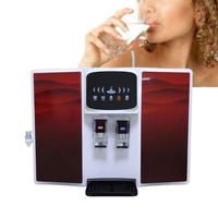 Distributeur d'eau pure commercial ou domestique, purificateur chaud/froid, système d'osmose inverse, machine de traitement par filtration, Purificador De Agua