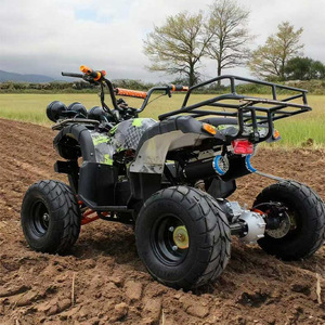 Cuatriciclo Eléctrico de Playa de 48V 750W 32Ah, Motocicleta de Cuatro Ruedas, Vehículo Todoterreno, Kart para Montaña y Exteriores con Frenos de Disco Hidráulicos - Product Image 4