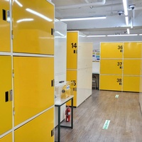 Unités de stockage en libre-service à prix abordable avec casier de stockage à expédition rapide en vente en bon état en Chine