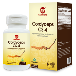 GANOHERB Produsen OEM Menyediakan Bubuk Miselium <span class=keywords><strong>Cordyceps</strong></span> Kapsul <span class=keywords><strong>CS4</strong></span> - Product Image 2
