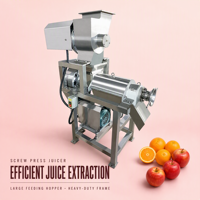 Commerciële Automatische Spirale Sapcentrifuge Motor 220V Hoge Productiviteit Water Fruit Groente Sapproductie 3000W Dubbele spanning