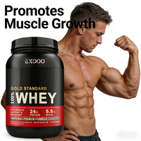 Poudre de Protéine Isolat de Whey BCAA pour Prise de Masse, Superaliment Santé, Vente en Gros OEM, 20-29g de Protéines par Portion