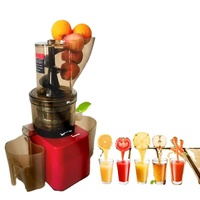 Machine à Jus Commerciale en Acier Inoxydable, Extracteur Lent de Fruits et Légumes, Blender Presse à Froid, Distributeur d'Orange